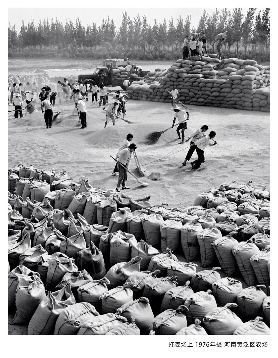 005《打麦场上》1977年入选全国摄影艺术展览 005《打麦场上》1977年入选全国摄影艺术展览