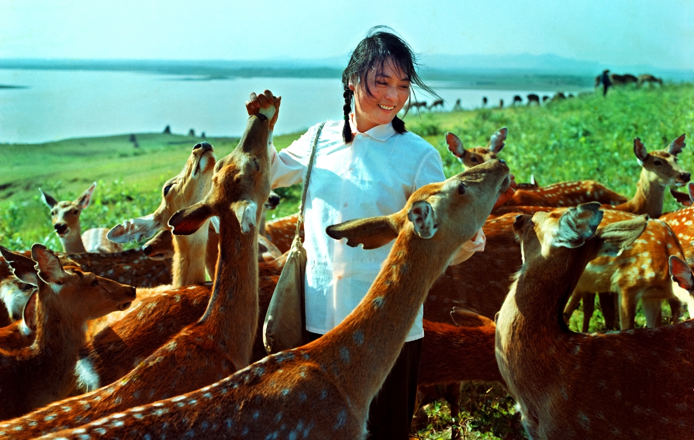 007《精心饲养》获得全国摄影比赛铜奖 007《精心饲养》获得全国摄影比赛铜奖