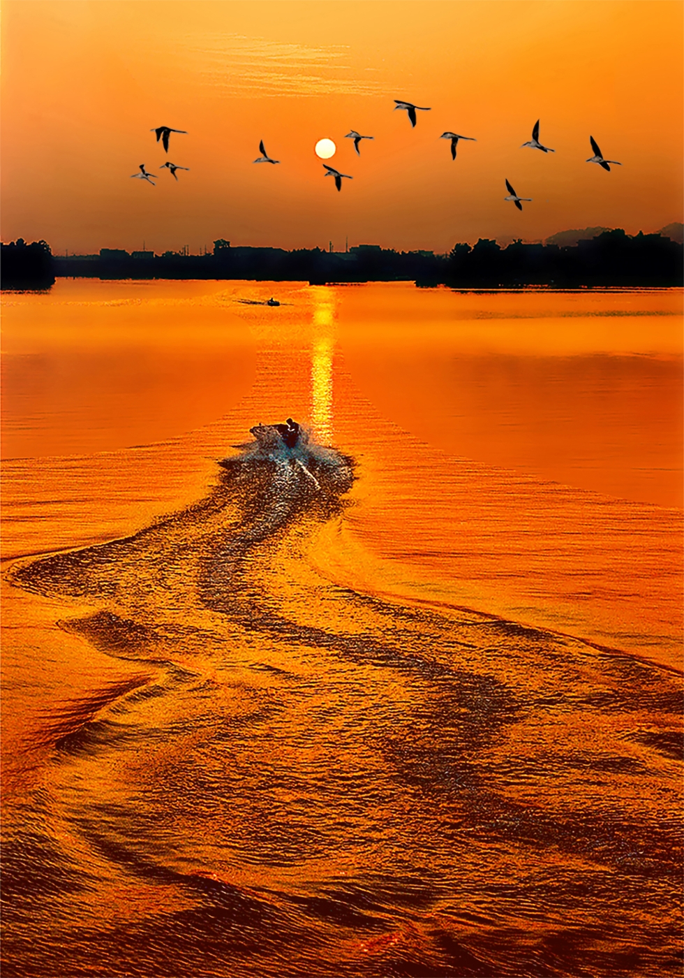 010《追日》2024年在新加坡四地国际摄影巡回展中荣获金牌 010《追日》2024年在新加坡四地国际摄影巡回展中荣获金牌