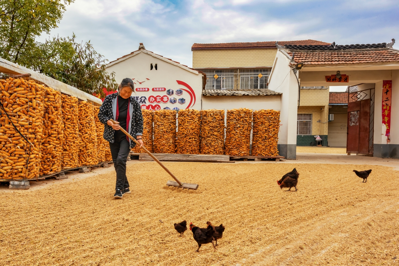 陈致远《金色农家》 陈致远《金色农家》