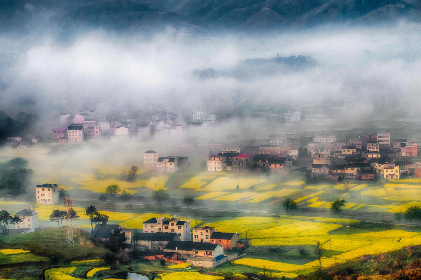 宫少华《梦幻家园》 宫少华《梦幻家园》