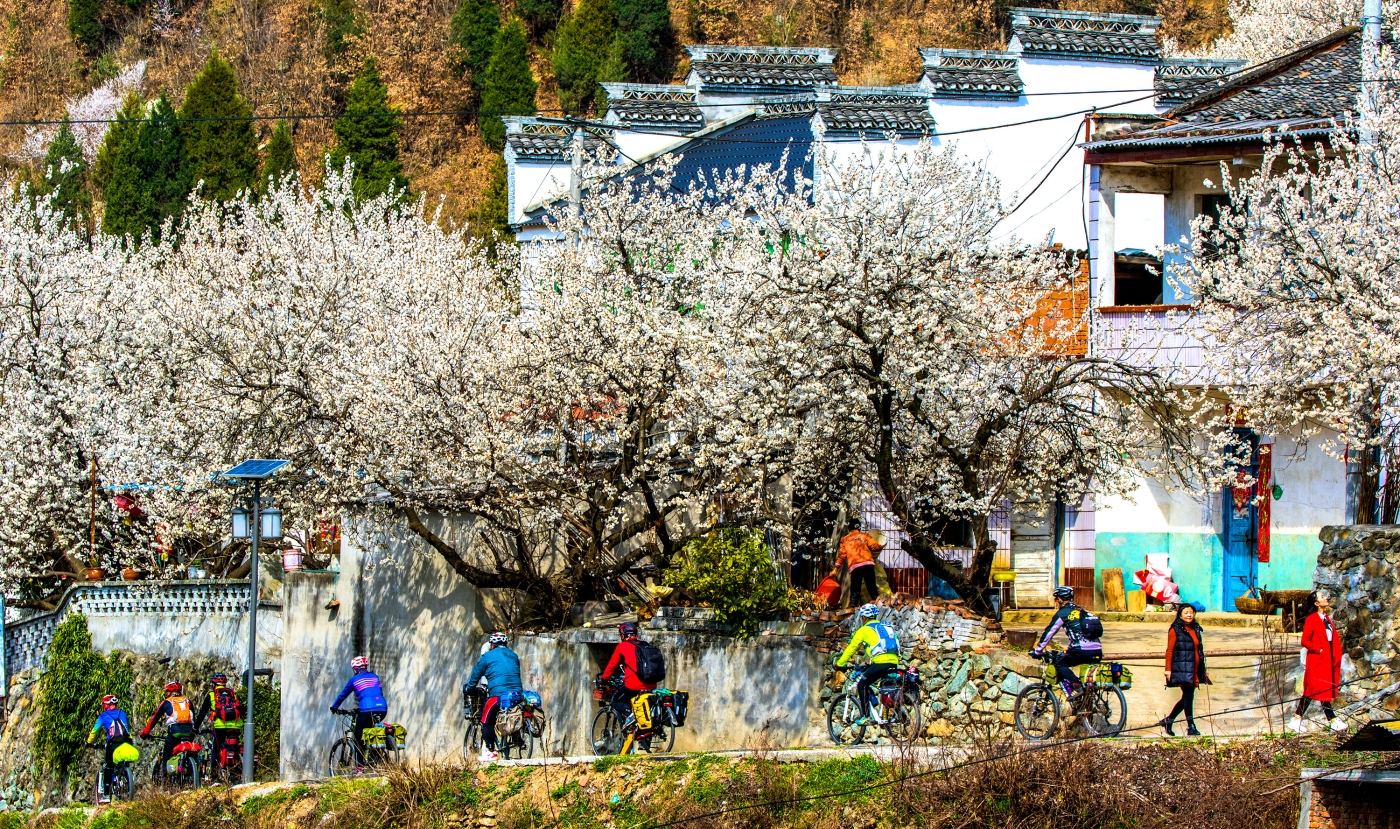 郭连华《美丽乡村游》 郭连华《美丽乡村游》