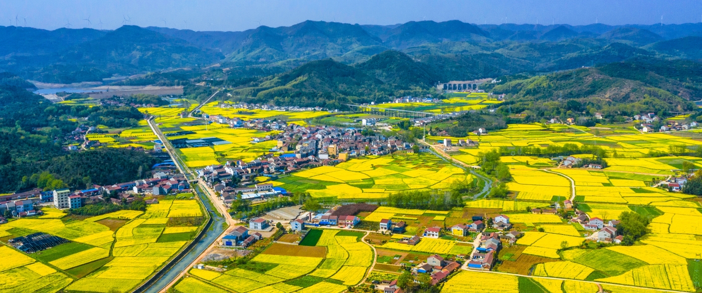 郝欢喜《花海沃野凝匠力・荆楚乡村立潮头》 郝欢喜《花海沃野凝匠力・荆楚乡村立潮头》