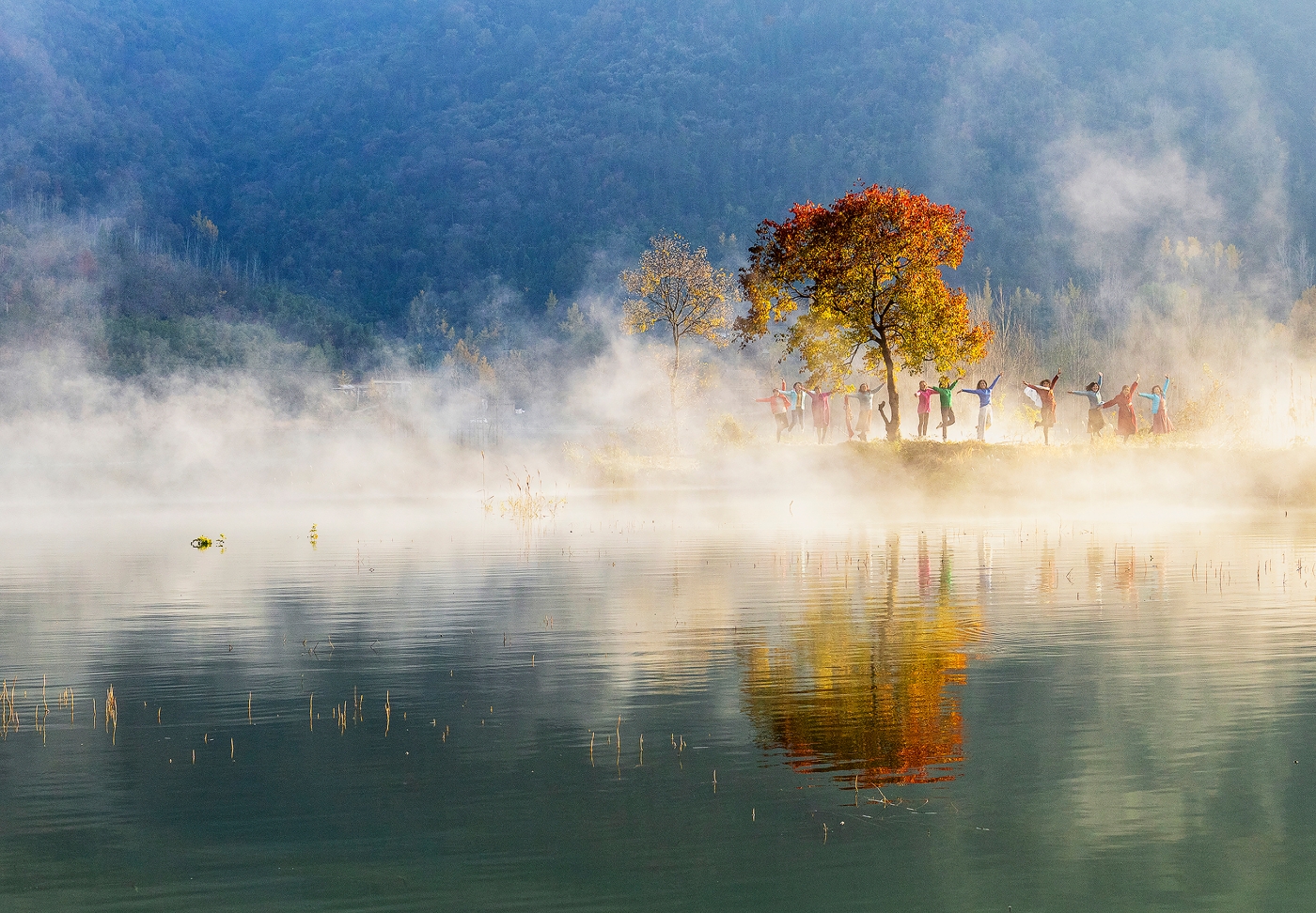 扈菁《欢乐时光》 扈菁《欢乐时光》