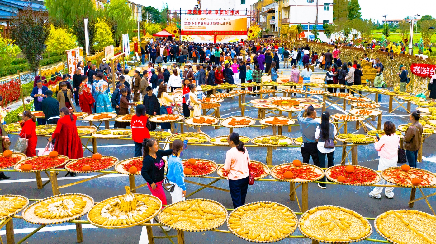 黄春香《晒个秋》 黄春香《晒个秋》