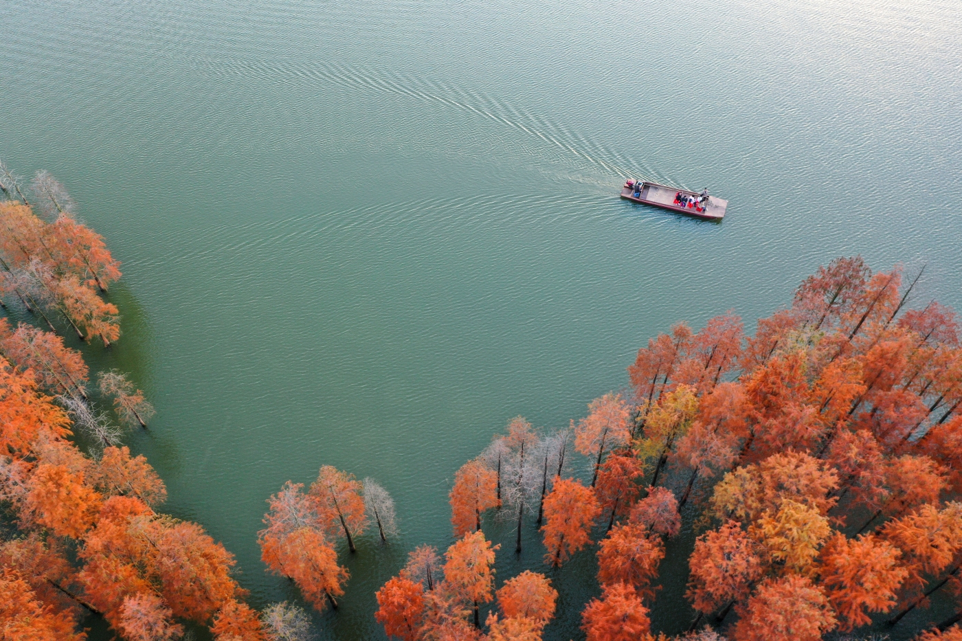 黎志华《赏秋》 黎志华《赏秋》