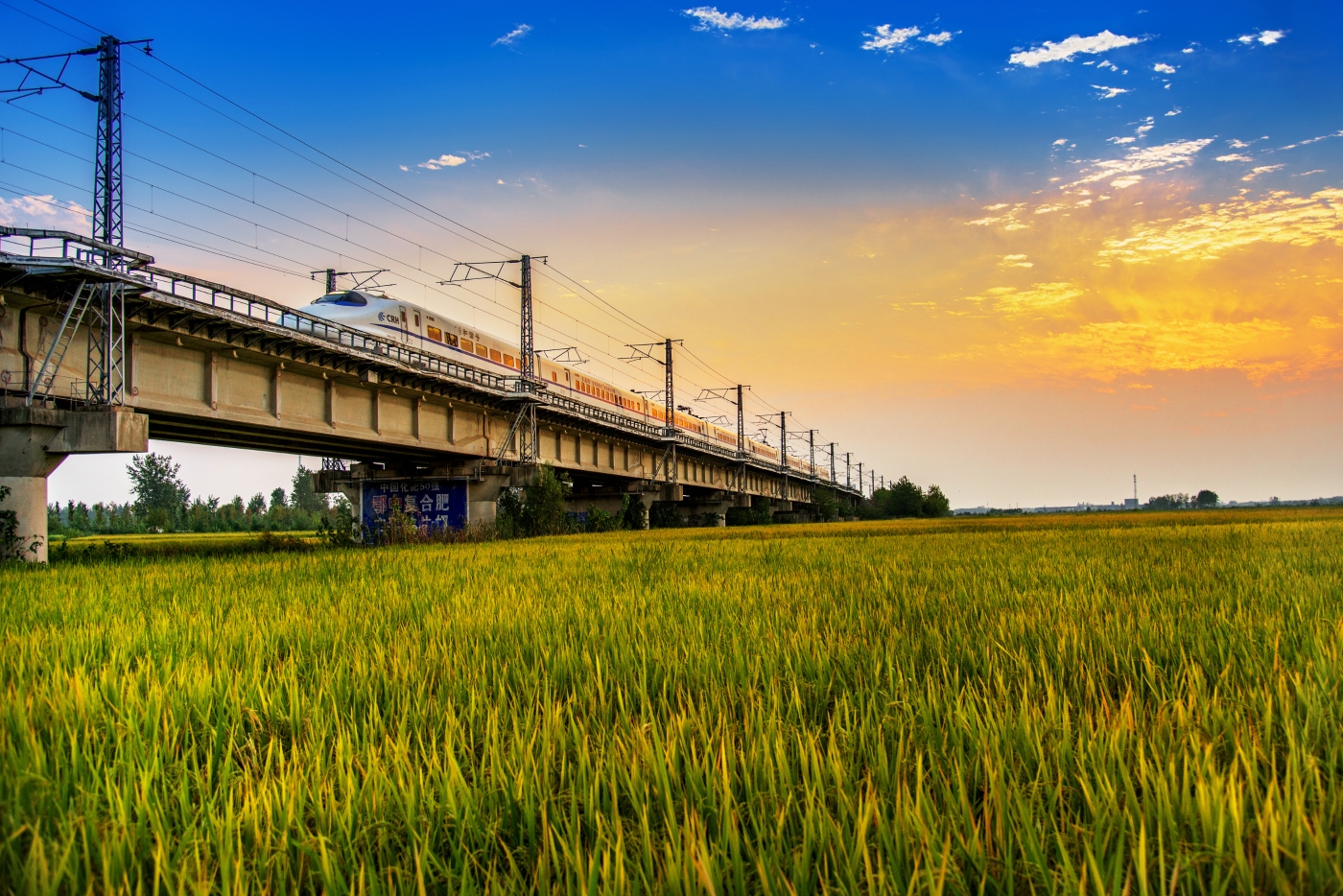 李建鹏《奔驰在原野上》 李建鹏《奔驰在原野上》