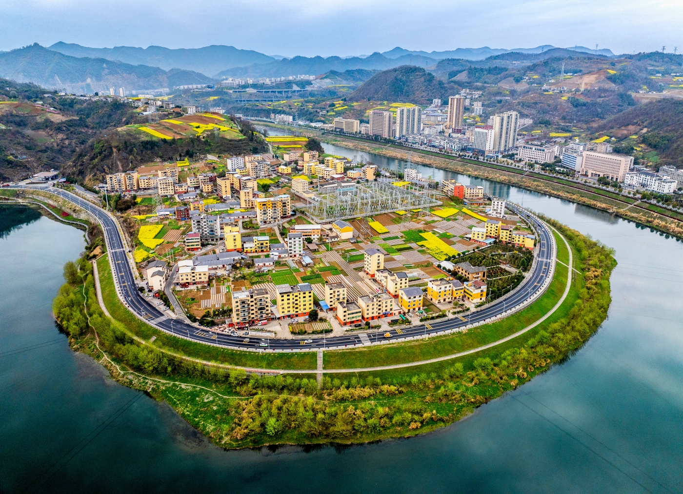 牛夺战《悬鼓洲新貌》 牛夺战《悬鼓洲新貌》