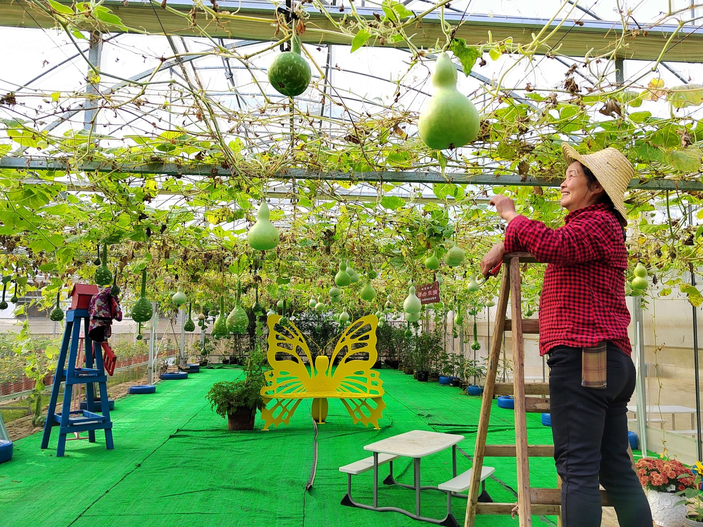 任娟汶《丰收的喜悦》 任娟汶《丰收的喜悦》