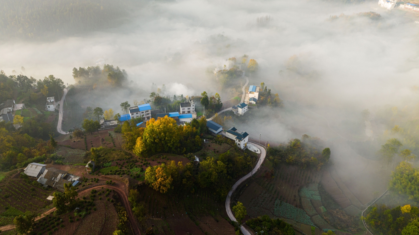 税典松《美丽乡村似仙景》 税典松《美丽乡村似仙景》