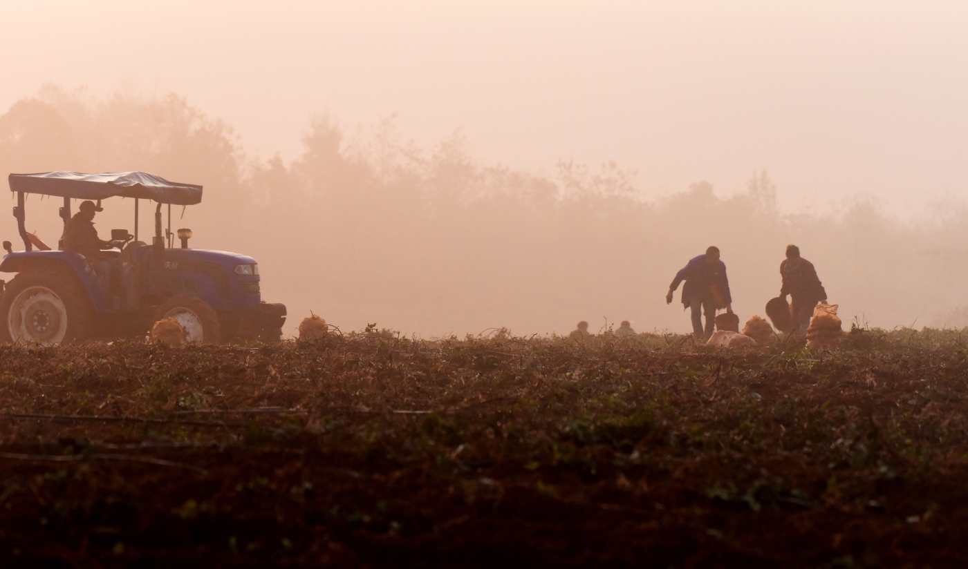 夏立宏《丰收的喜悦》 夏立宏《丰收的喜悦》