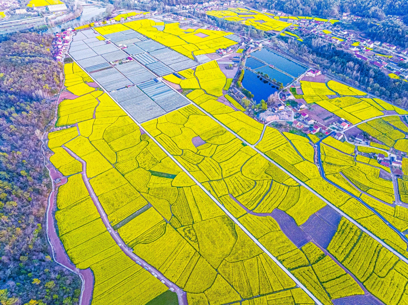 薛荣清《大地调色板》 薛荣清《大地调色板》