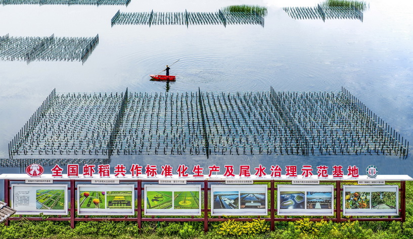 杨华仁《全国虾稻共作标准化生产及尾水治理示范基地》 杨华仁《全国虾稻共作标准化生产及尾水治理示范基地》