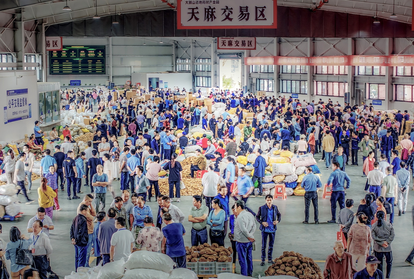 姚炳国《客商云集的药材市场》 姚炳国《客商云集的药材市场》