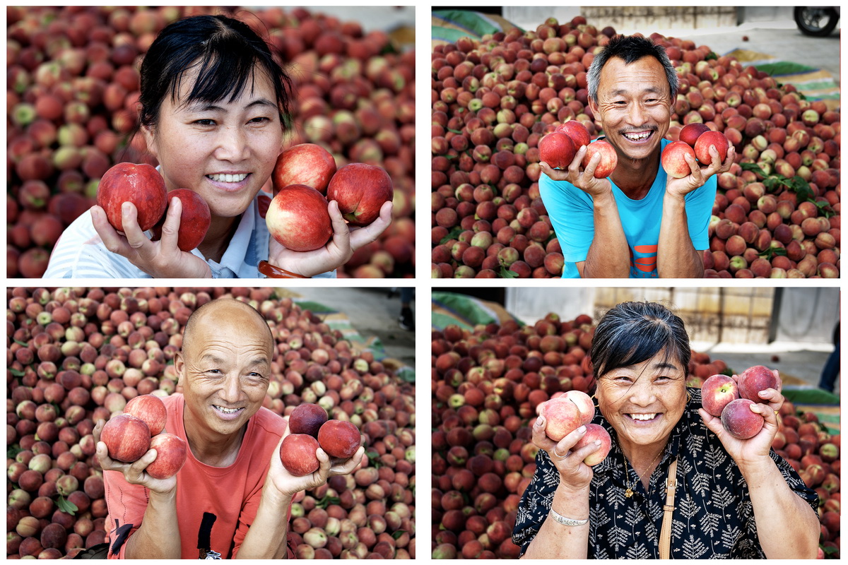 张国凤《丰收的喜悦》 张国凤《丰收的喜悦》