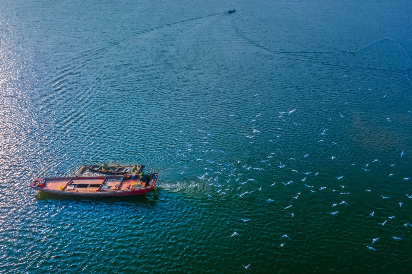 张旻《播种生态家园》 张旻《播种生态家园》