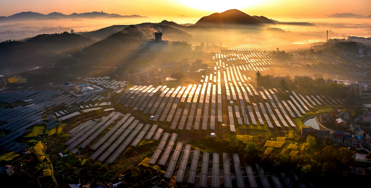 朱林《田园新画卷》 朱林《田园新画卷》