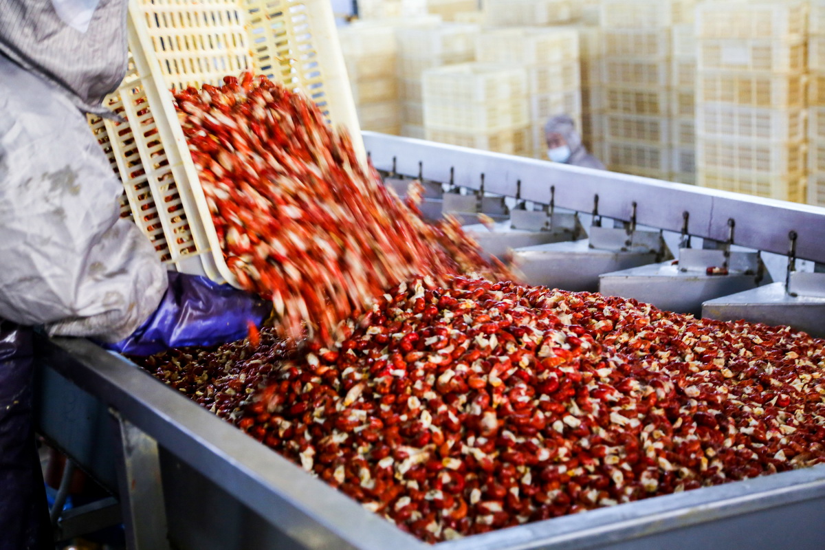 85-10- (1) 85-10- (1)