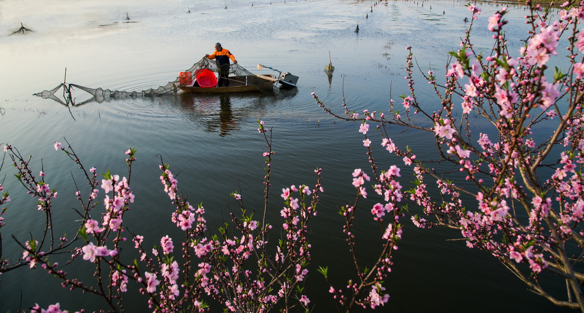 85-10- (2) 85-10- (2)