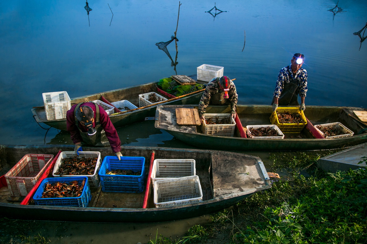 85-10- (3) 85-10- (3)