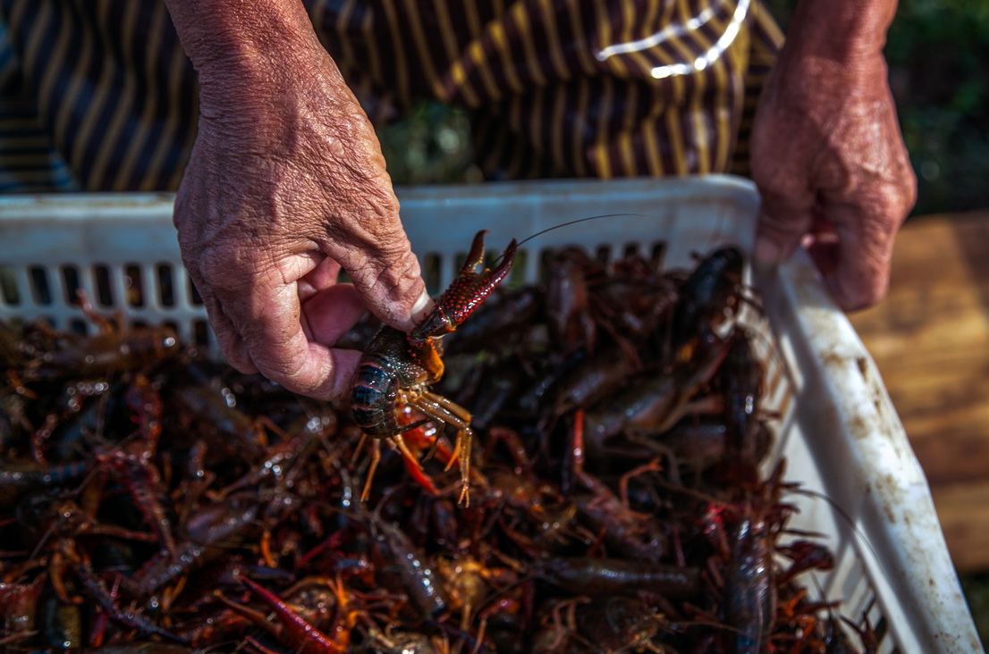 85-10- (4) 85-10- (4)