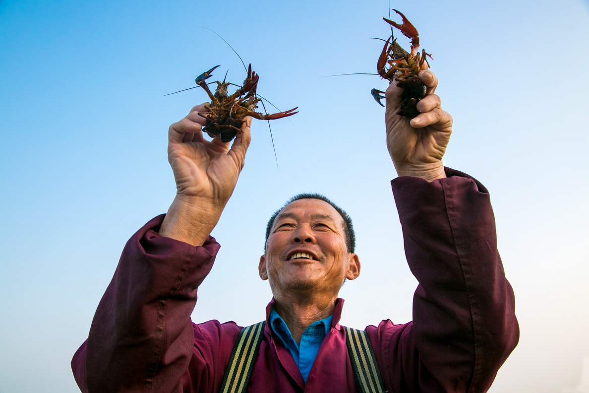 85-10- (5) 85-10- (5)