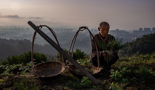 101-135- (5) 101-135- (5)