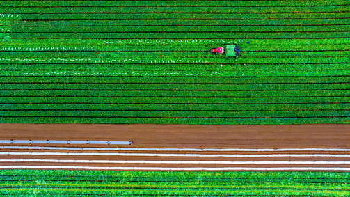 116-12- (1) 116-12- (1)