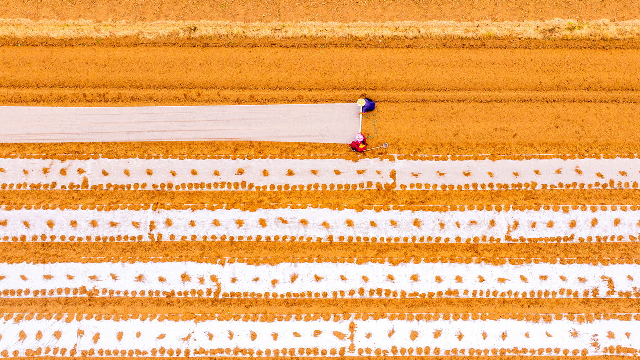 116-12- (2) 116-12- (2)