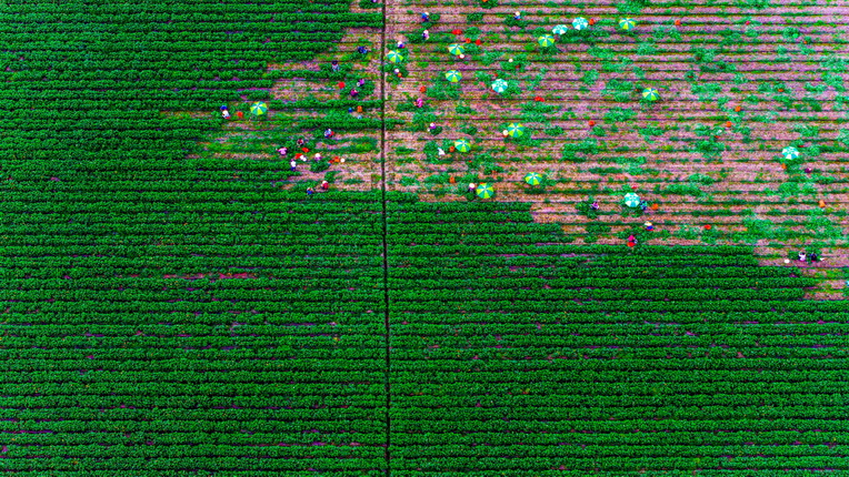 116-12- (3) 116-12- (3)