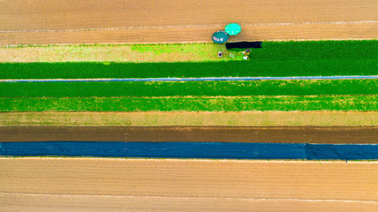 116-12- (4) 116-12- (4)