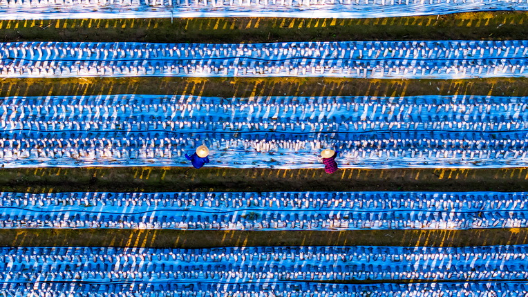 116-12- (5) 116-12- (5)