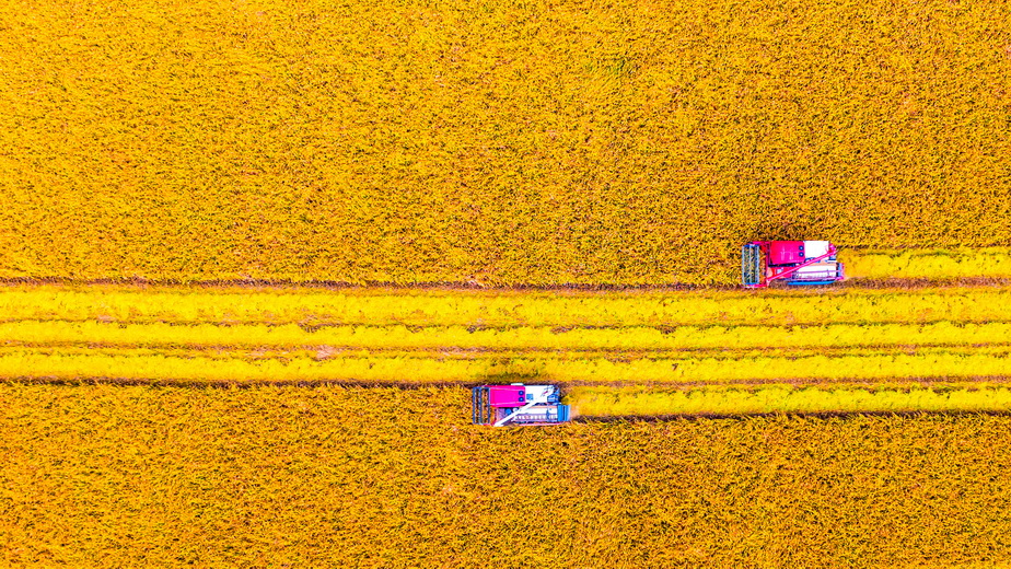 116-12- (6) 116-12- (6)