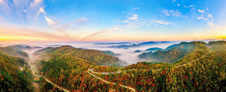 133-11- (1) 133-11- (1)