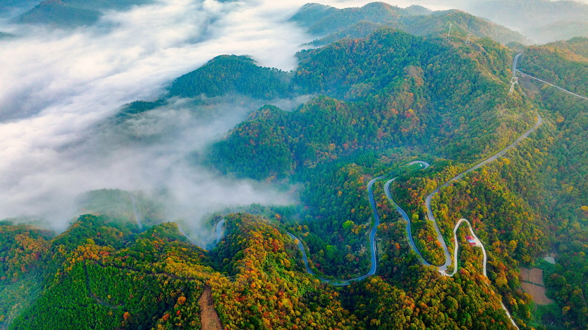 133-11- (2) 133-11- (2)