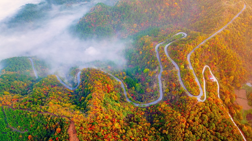 133-11- (3) 133-11- (3)