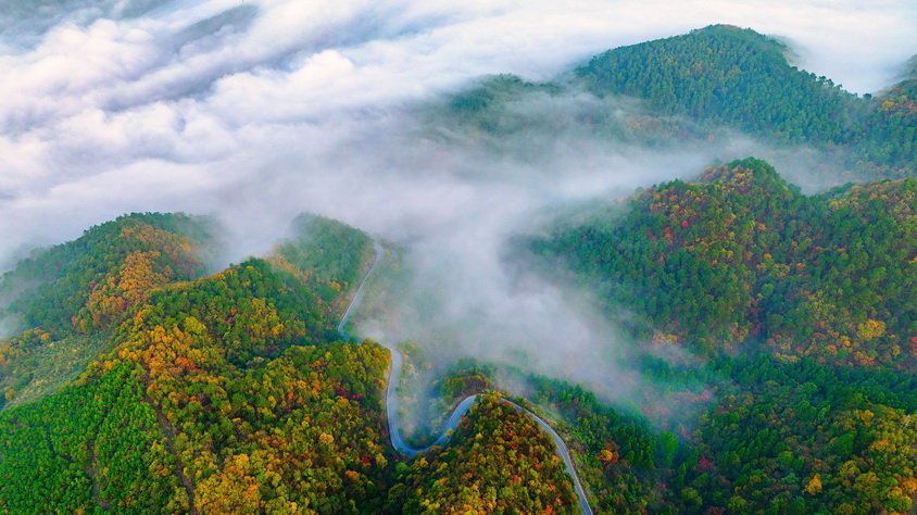 133-11- (4) 133-11- (4)