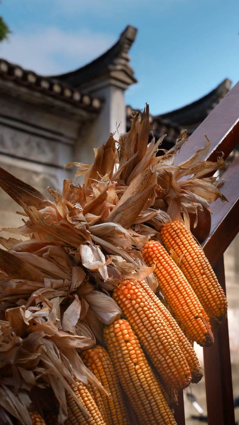 163-2- (6) 163-2- (6)