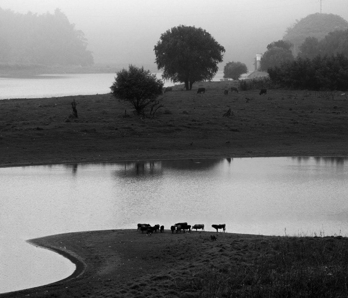 247-1- (1) 247-1- (1)