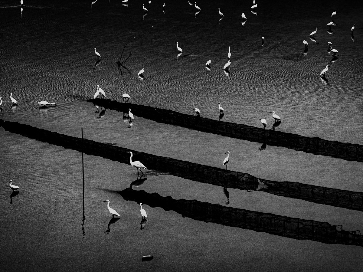 247-1- (2) 247-1- (2)