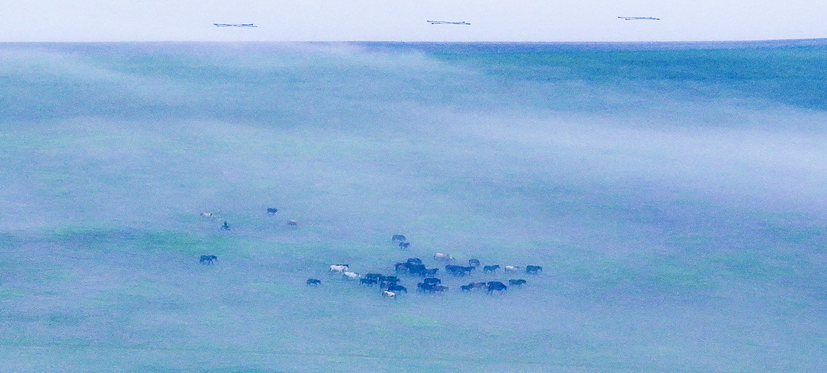 410-1- (1) 410-1- (1)