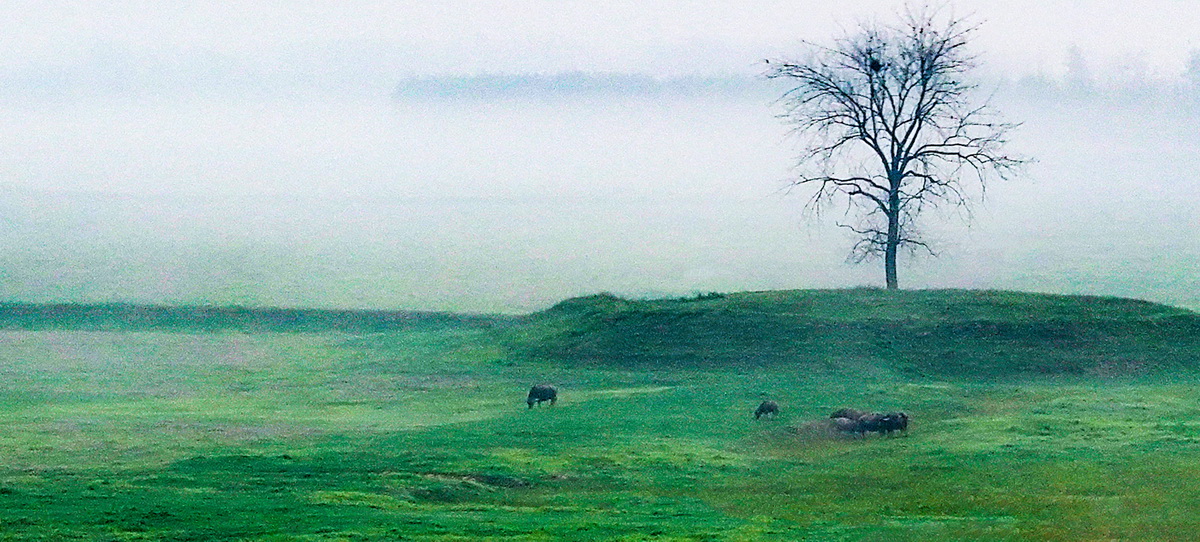 410-1- (6) 410-1- (6)