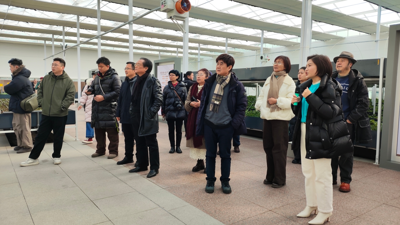 调研当阳两河鱼腥草博物馆