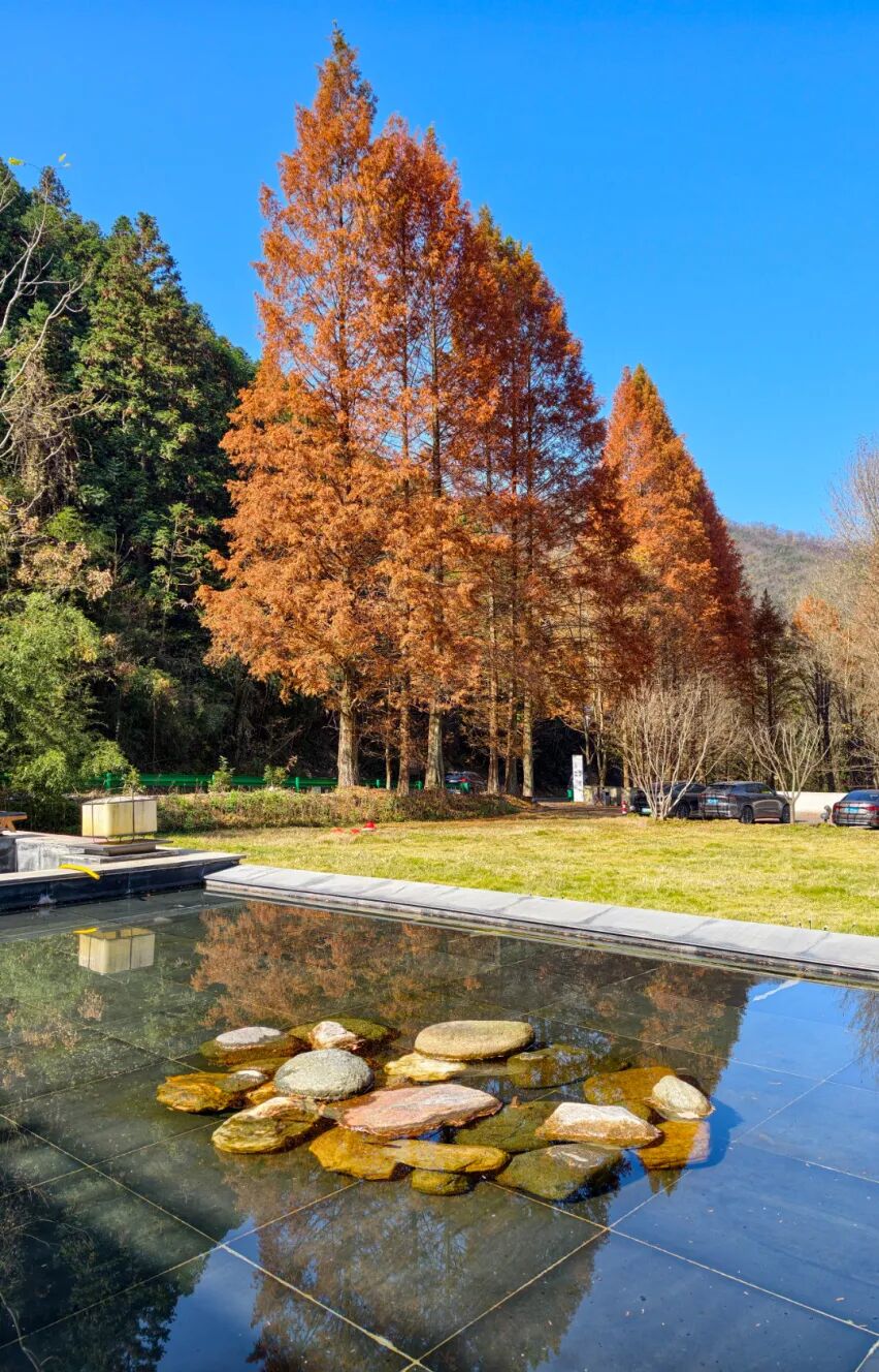 《院落深秋》 张建波 摄.jpg