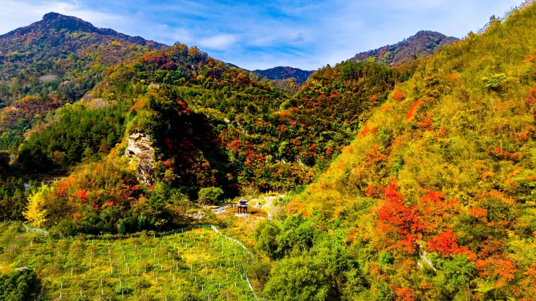 《太白溪秋色》 朱万群 摄.jpg