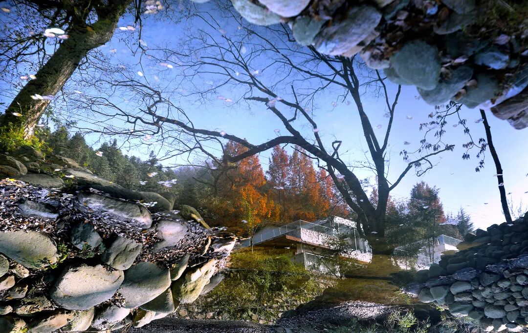 《水中秘境》芮智敏 摄.jpg