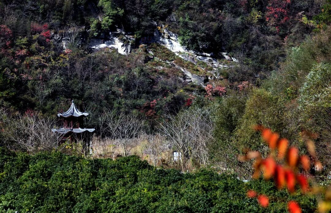《小景》 芮智敏 摄.jpg