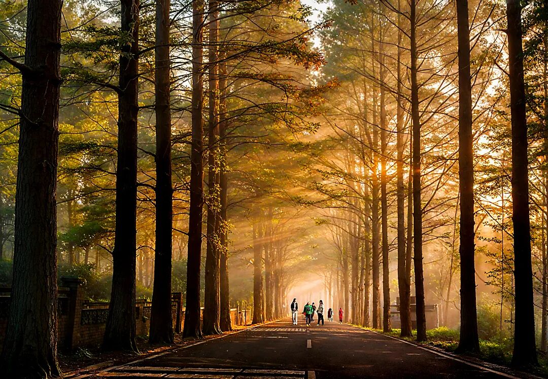 《小川晨曦》 魏建明 摄.jpg