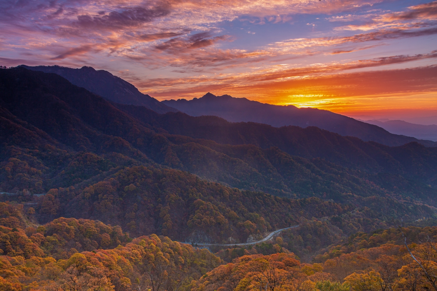 大别山的早晨  大别山马鬃岭景区