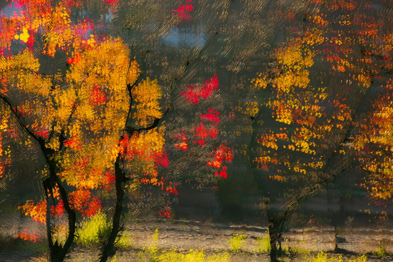 秋风   罗田县九资 河镇徐凤冲村
